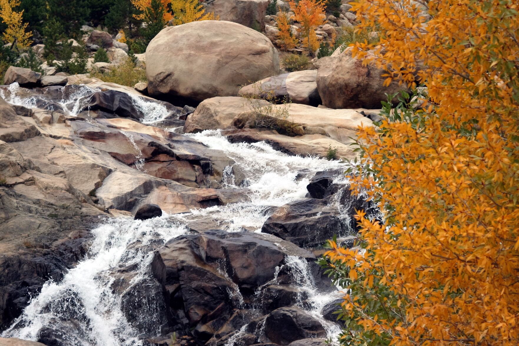 Rocky Mountain Waterfall